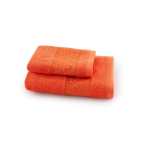 Set of 2 sponges