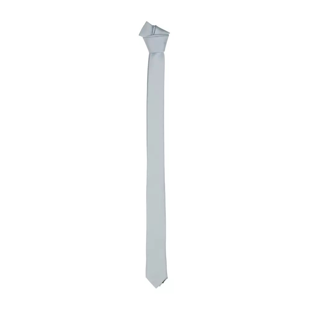 Elegant Gray Silk Slim Tie